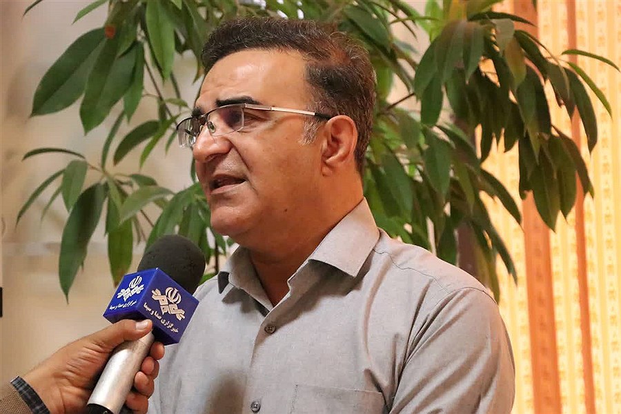 بیش بود گوجه فرنگی فارس از افزایش عملکرد و قطع صادرات