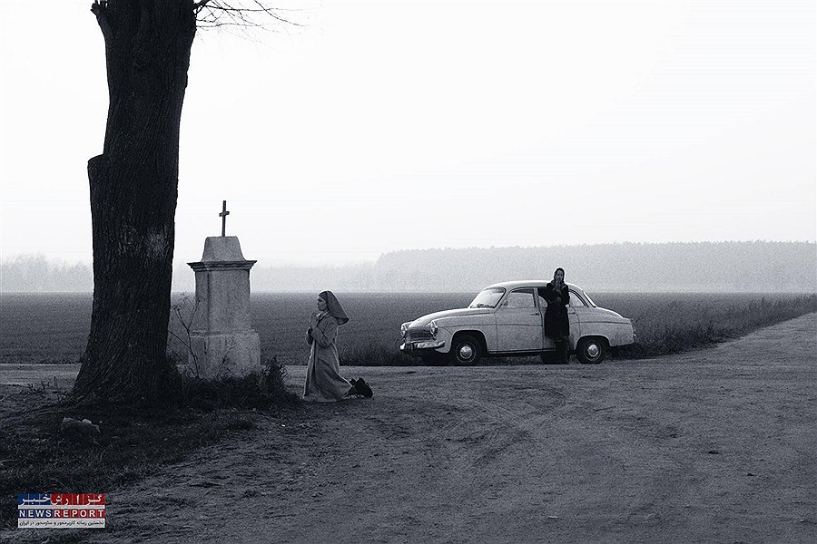 مهاجران در کالیفرنیا