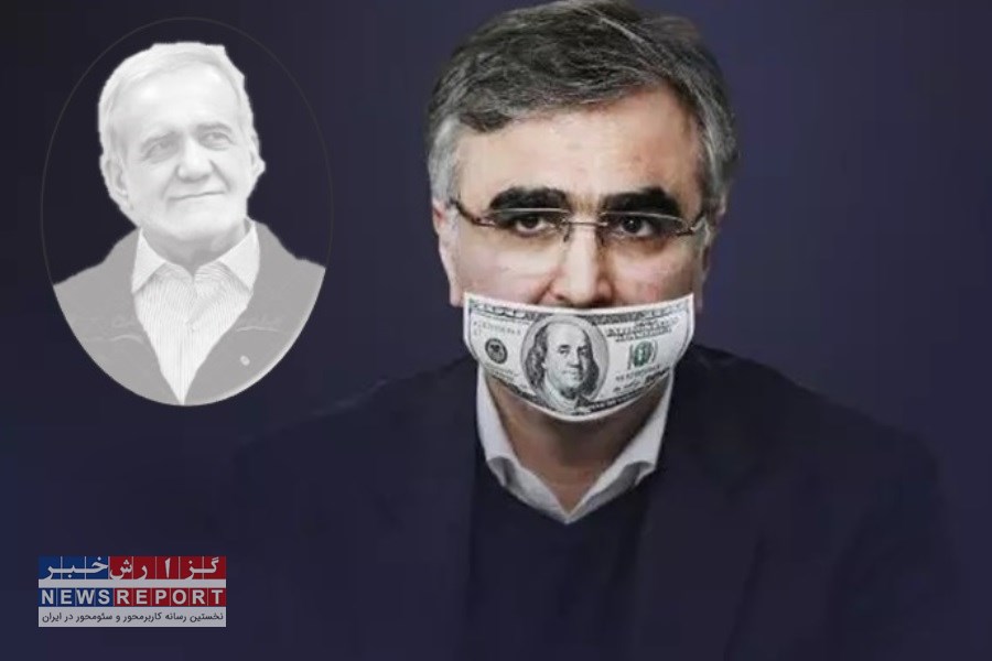 آیا فرزین در تیم اقتصادی دولت پزشکیان جا دارد؟