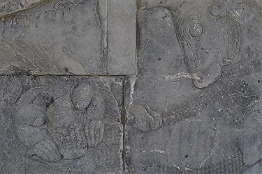 تصویر سنگ نگاره های تخت جمشید