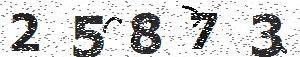 تصویر امنیتی